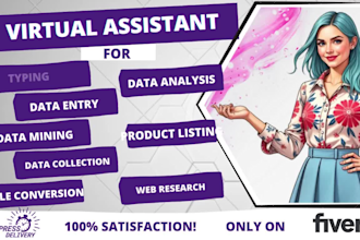be your virtual assistant for data entry, data mining, web research, excel tasks