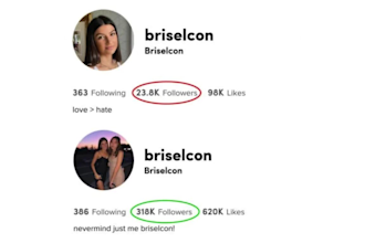 organically grow and promote your tiktok account and videos