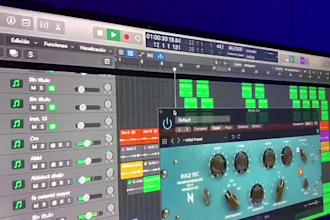 produce custom reggaeton beats