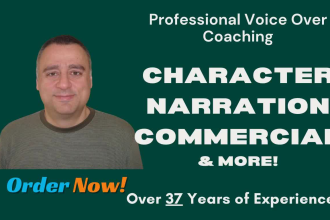 provide 30 minutes of voice over coaching mentoring advice