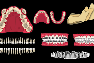 do oral and maxillofacial illustration art works