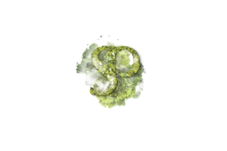 clear nature logo animation