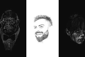 redraw your nft art and portrait with a custom timelapse process
