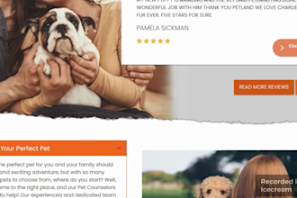 design pet store pet website shopify store pet shopify store shopify expert