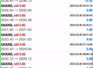 provide a forex trading bot, forex ea robot, gold ea, trading bot, forex trading