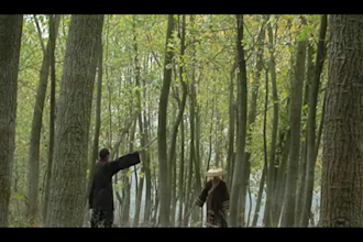be your vfx artist do cgi special effects compositing animation cgi rotoscoping