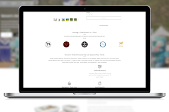 develop a dynamic and professional website
