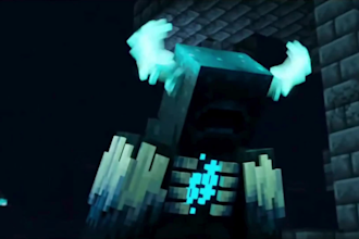 do a professional level minecraft animation