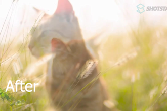 enhance your images and videos with professional editing