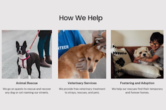 build pet sitting petcare dog walking dog training pet adoption dog daycare