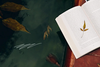 produce a stunning spectacular trailer for your book