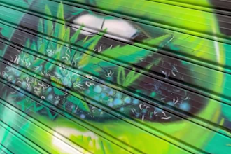 painting a real graffiti realistic on the street wall