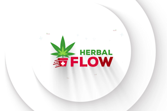 create logo design for you startup or corporation