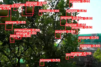 provide compute vision solutions, image processing, object detection, ai model