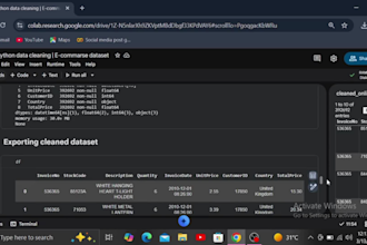 clean and preprocess your dataset using python pandas