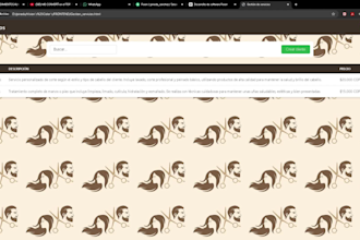 desarrollo de paginas web