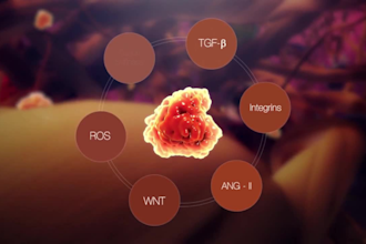 create medical animation anatomy moa and science explainer animation video