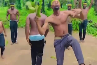 african happy birthday video african happy birthday video