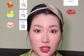 teach mandarin chinese to all levels