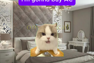 edit funny pet videos for tiktok, reels and youtube shorts
