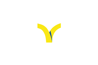 create premium modern logo reveal