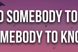 create professional custom 2d, 3d music lyric video animation