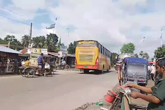 create professional bus video for you