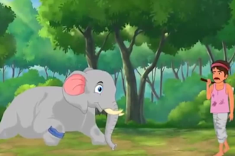 create 2d animation stories, 2d cartoon animation video