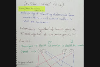 professionally take notes for any subject