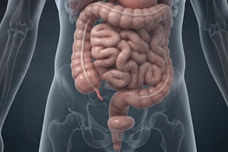 ai medical animation, 3d healthcare explainer videos