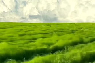 pro video andphoto edit highquality video edits