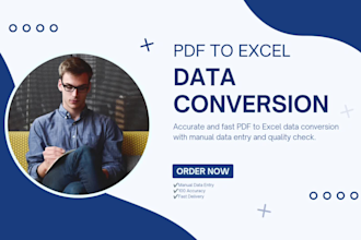 manually convert pdf to excel and format data