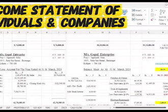 handle all finance related work of your company