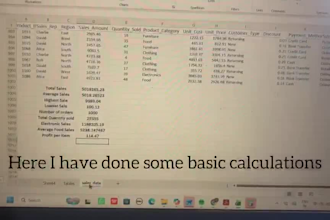 clean, format, and organize excel spreadsheets