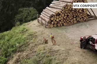 create realistic 3d animal vfx animation with cinematic cgi and fur stimulation