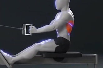 do custom fitness gym exercise animation, physical workout