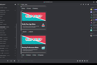 design a professional and premium discord server