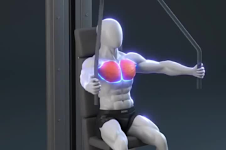 do 3d gym animation, workout animation, fitness, bodybuilding, anatomy