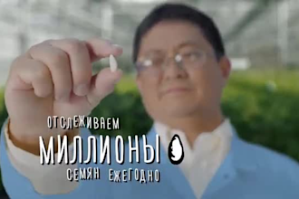 professionally dub, localize and lip sync your video in ukrainian or russian