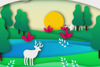 create animated stop motion video for you