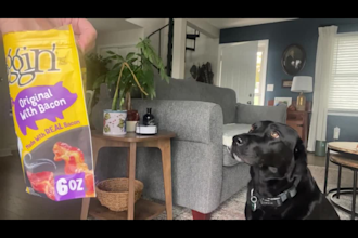create pet product ugc videos featuring my dog