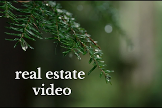 provide professional video editing