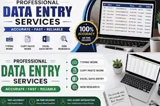 do excel data entry and copy paste tasks
