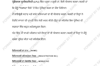type punjabi notes, books and documents