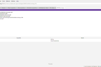 write sparql queries for your owl ontology