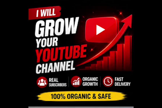 provide professional youtube management and services