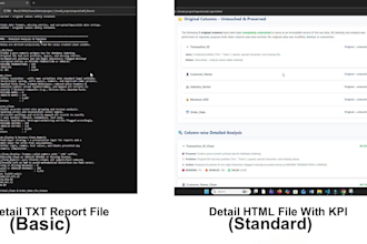 clean excel and CSV data with premium HTML and txt reports