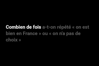 write clear and engaging articles in english or french