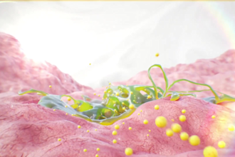 create professional 3d medical animation video and moa explainer