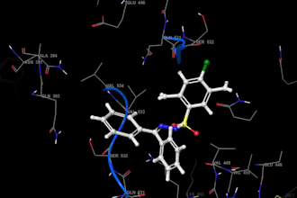 do docking, MD simulations, qsar,  structure modeling with scientific writing
